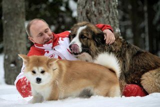 Владимир Путин подписал закон, который вносит поправки в КоАП о введении штрафов за выброшенных животных.