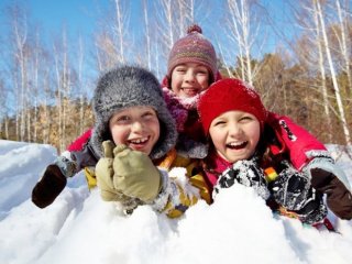 Школьники Ленобласти идут досрочно на зимние каникулы.