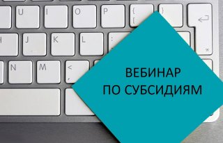 Субсидии - предпринимателям