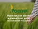 «Моя земля – Россия 2024»