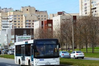  По Мурино- на новых автобусах
